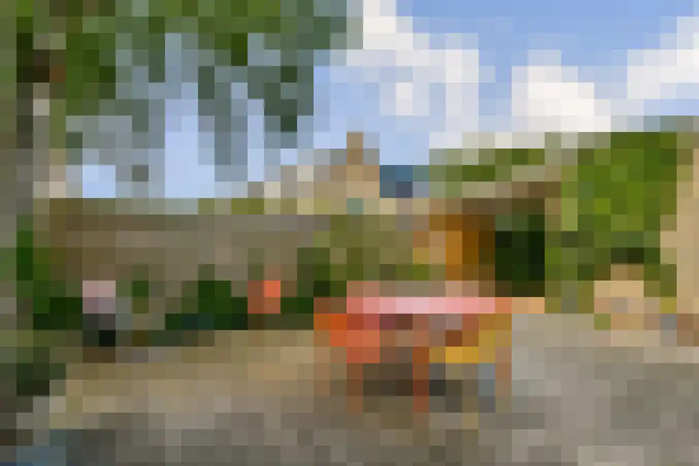 Koningsvaren 123 Abcoude thumbnail 5