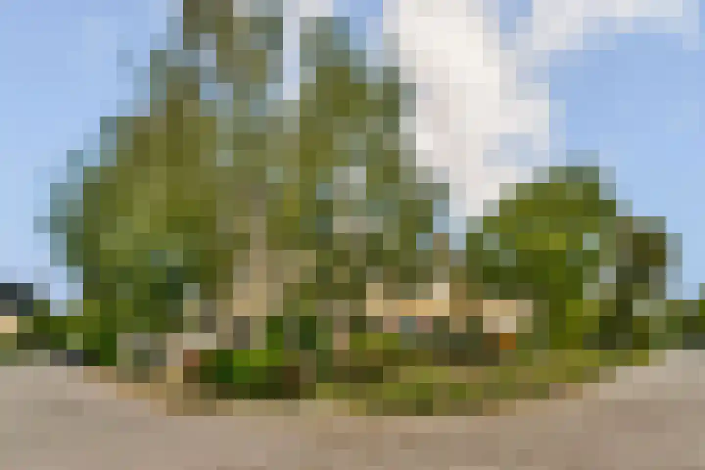 Koningsvaren 123 Abcoude thumbnail 6