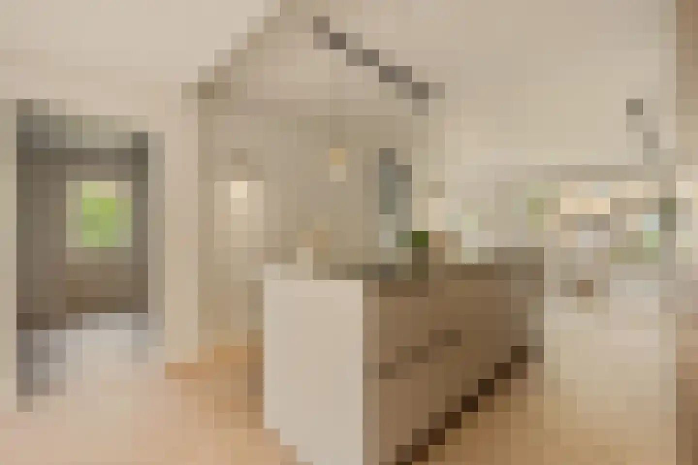 Koningsvaren 2 Abcoude thumbnail 14
