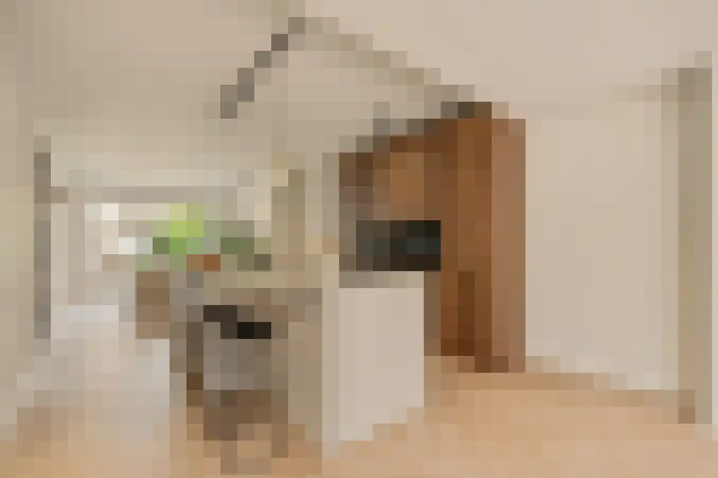 Koningsvaren 2 Abcoude thumbnail 16
