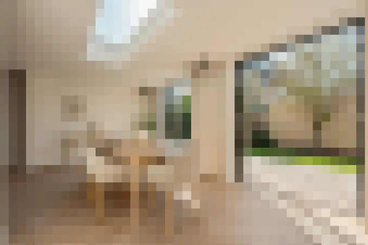Koningsvaren 2 Abcoude thumbnail 23