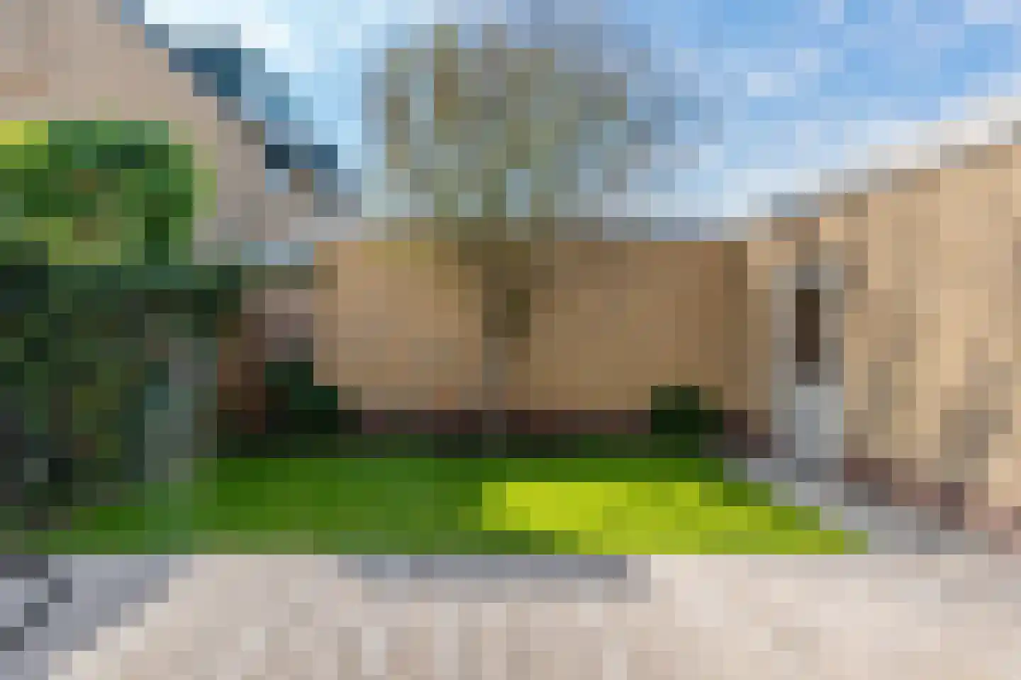 Koningsvaren 2 Abcoude thumbnail 24