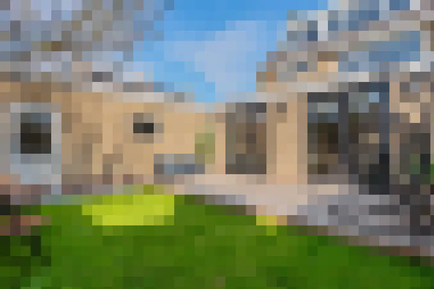 Koningsvaren 2 Abcoude thumbnail 27