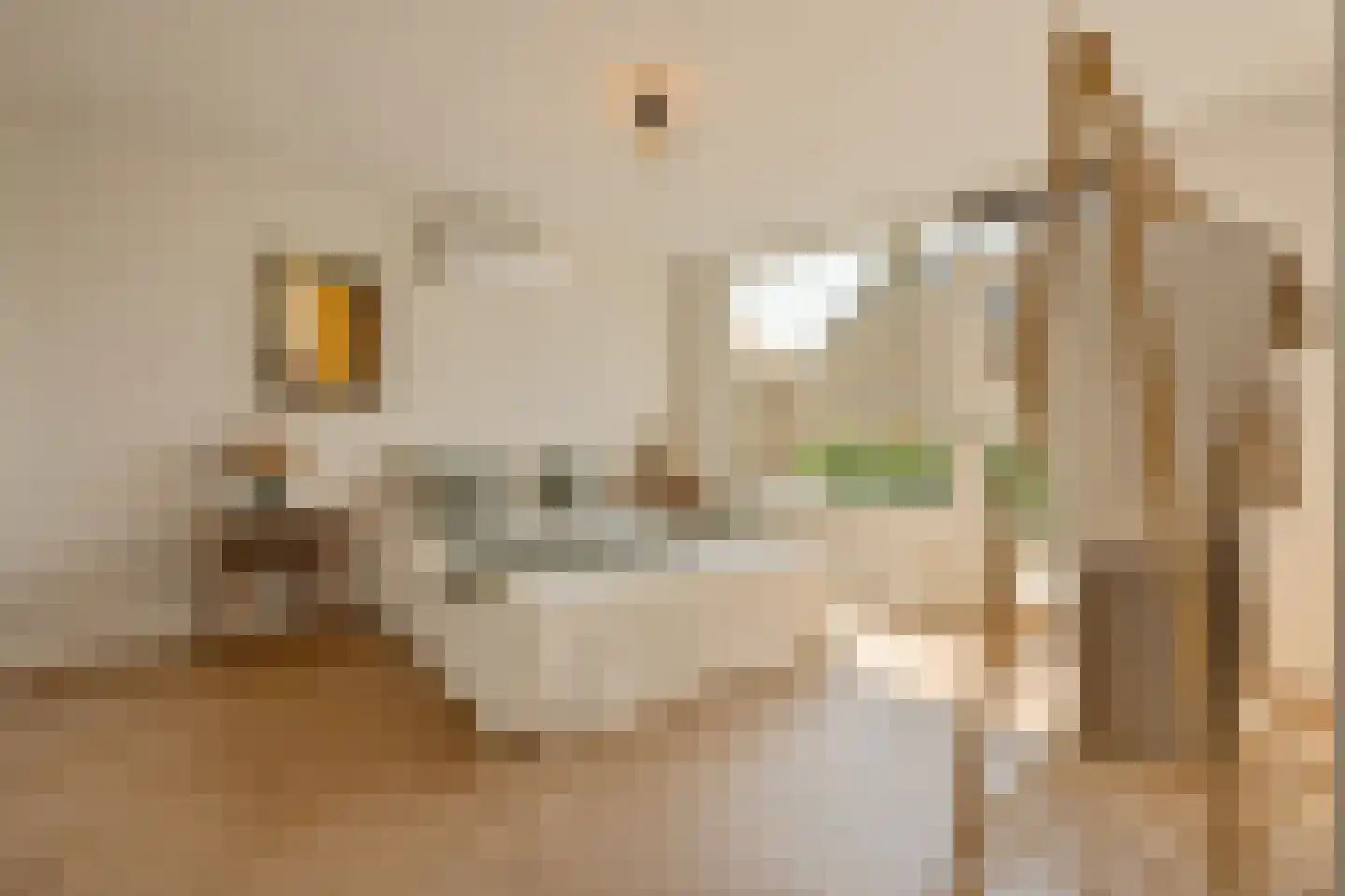 Koningsvaren 2 Abcoude thumbnail 32