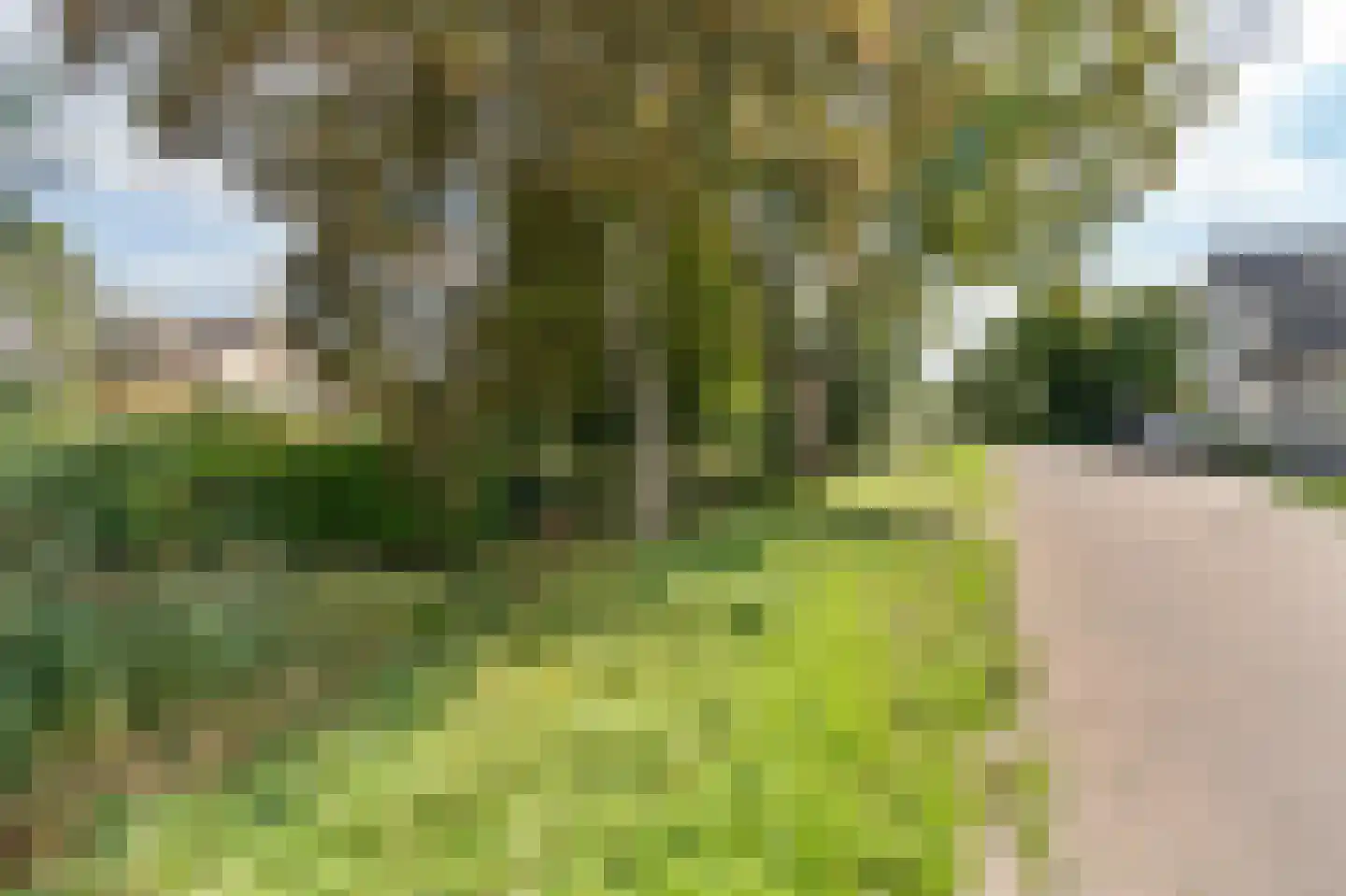 Koningsvaren 2 Abcoude thumbnail 52