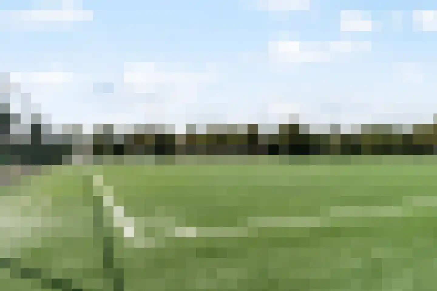 Koningsvaren 2 Abcoude thumbnail 54