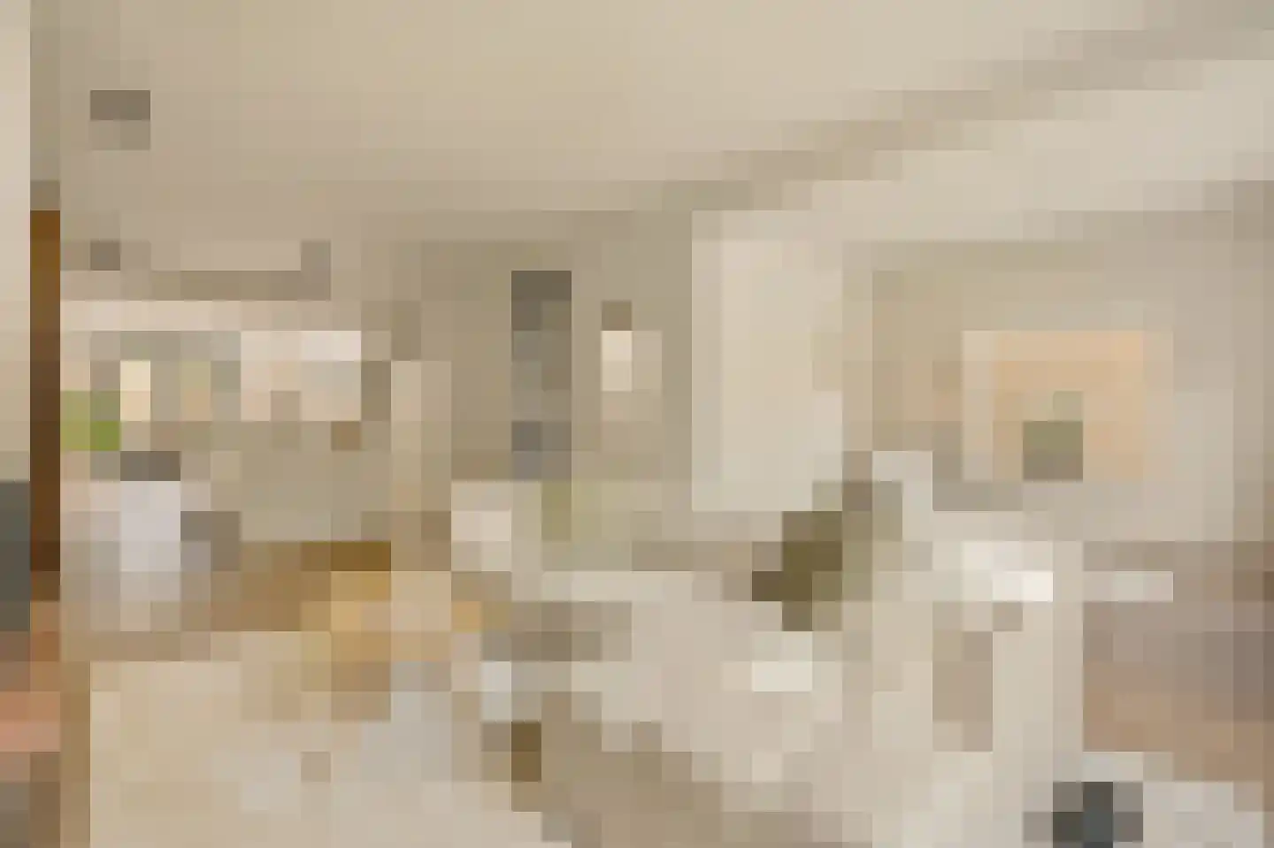 Koningsvaren 2 Abcoude thumbnail 9