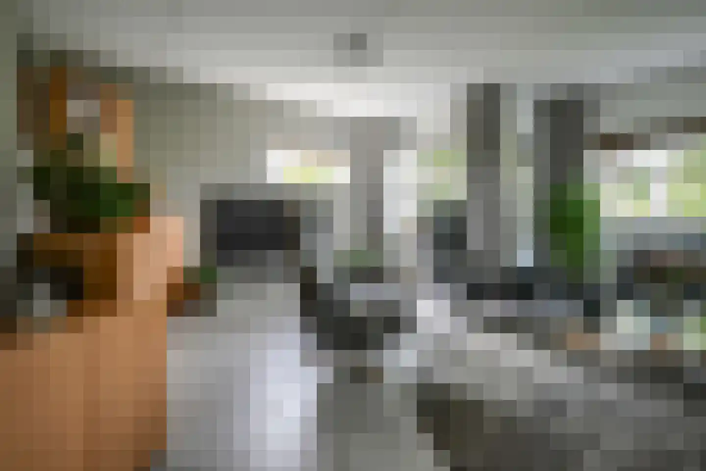 Koningsvaren 2 Bergschenhoek thumbnail 13