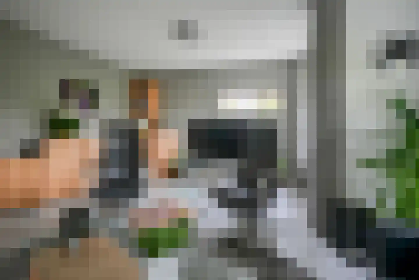 Koningsvaren 2 Bergschenhoek thumbnail 15