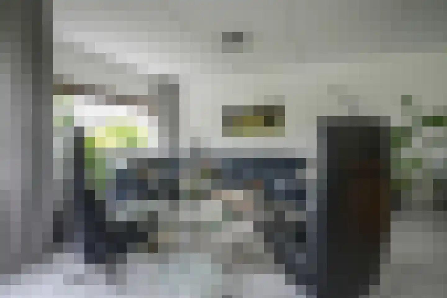 Koningsvaren 2 Bergschenhoek thumbnail 16