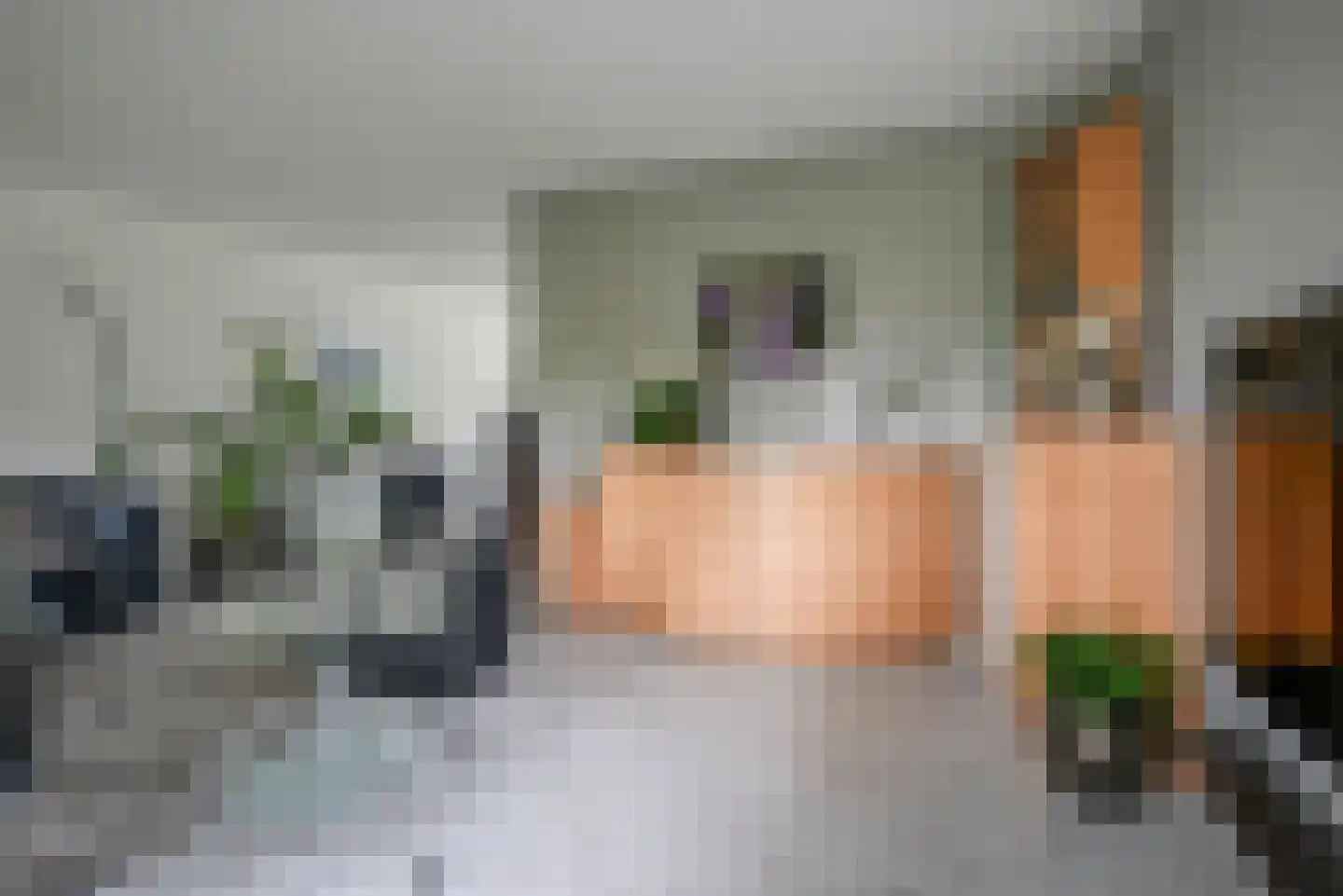 Koningsvaren 2 Bergschenhoek thumbnail 17