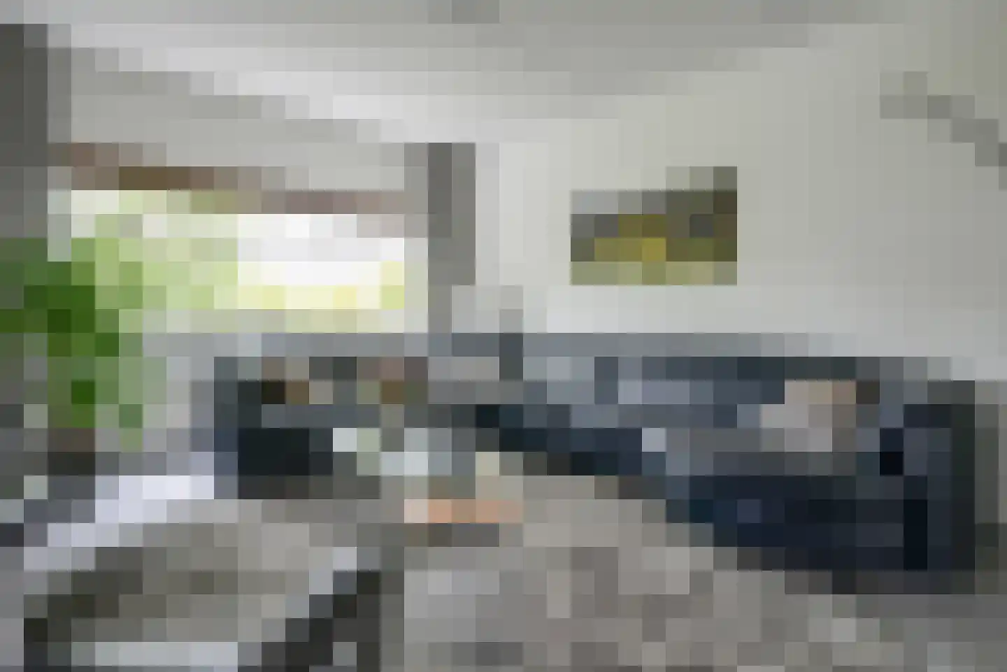 Koningsvaren 2 Bergschenhoek thumbnail 18