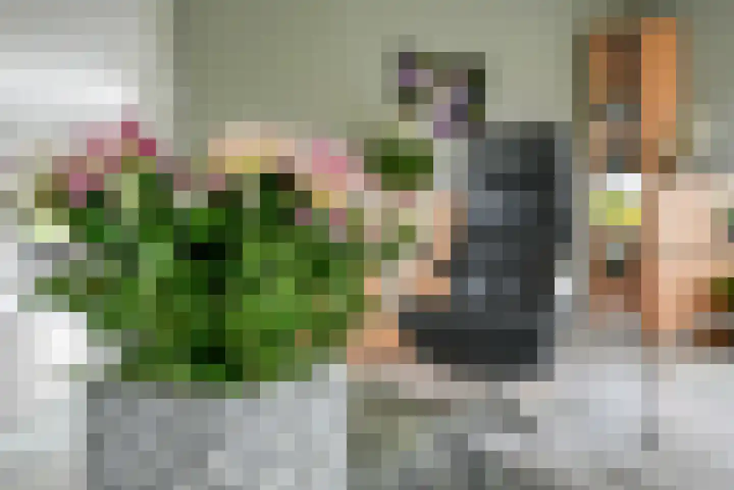 Koningsvaren 2 Bergschenhoek thumbnail 19