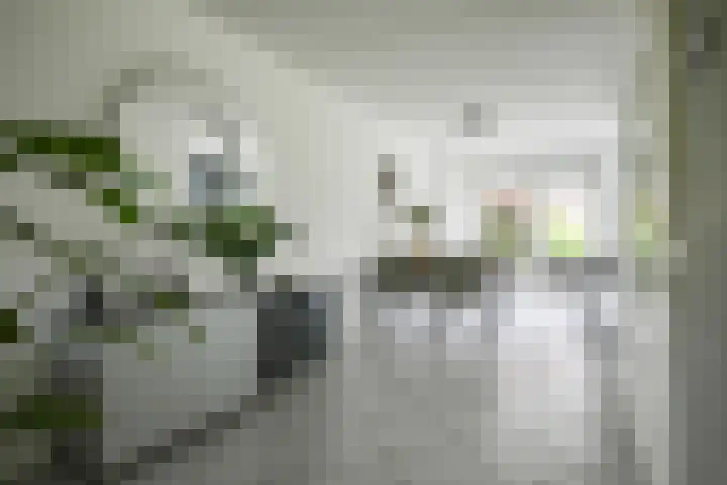 Koningsvaren 2 Bergschenhoek thumbnail 20