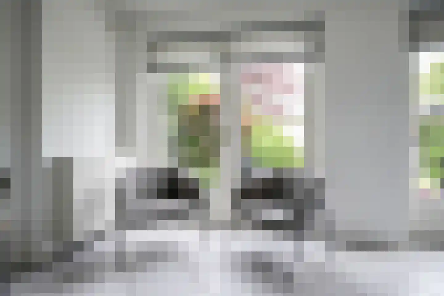 Koningsvaren 2 Bergschenhoek thumbnail 23