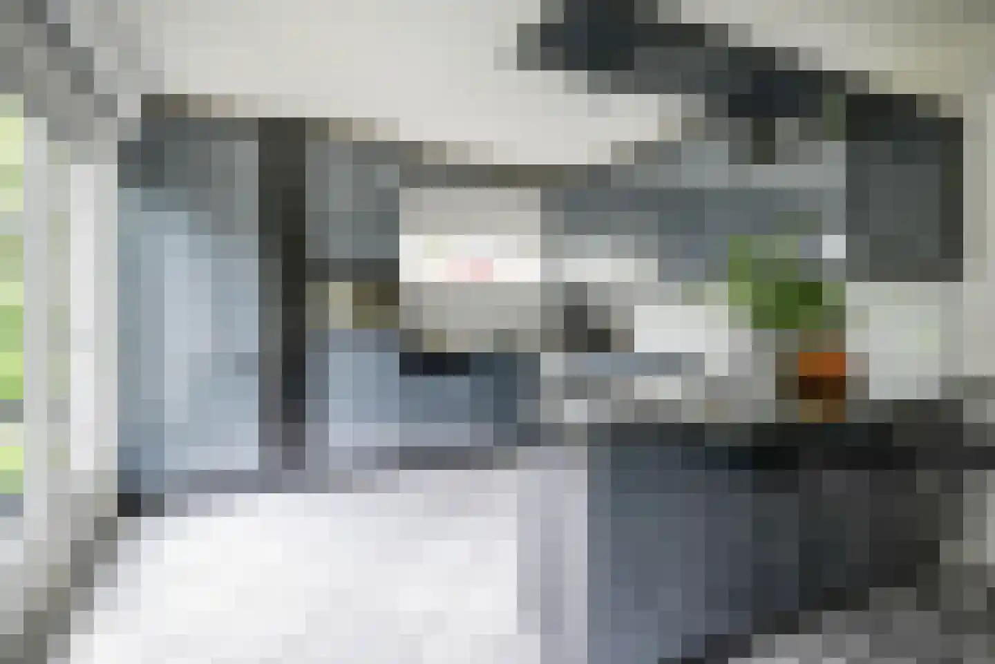 Koningsvaren 2 Bergschenhoek thumbnail 24