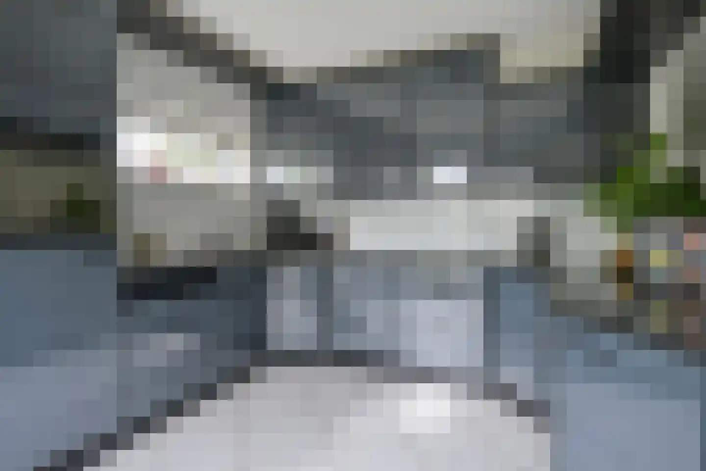 Koningsvaren 2 Bergschenhoek thumbnail 25