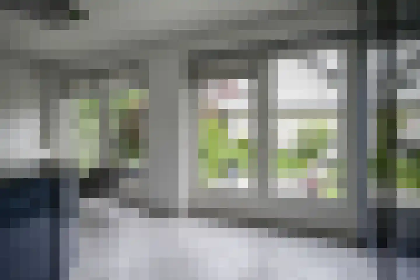 Koningsvaren 2 Bergschenhoek thumbnail 26