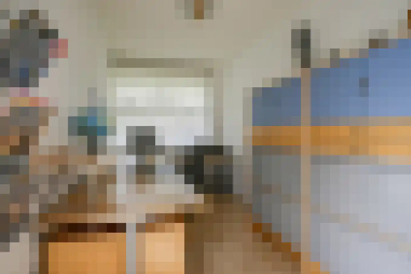 Koningsvaren 2 Bergschenhoek thumbnail 29