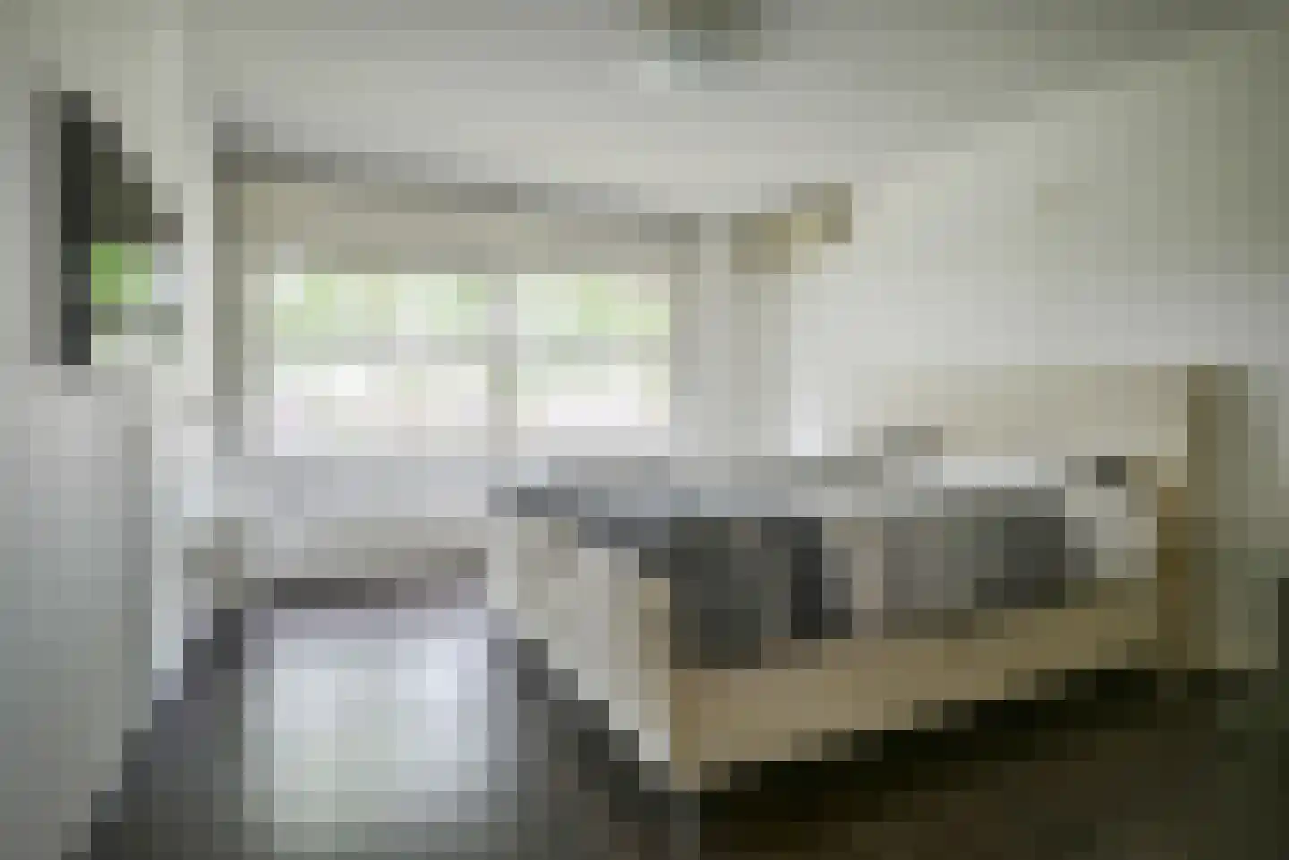 Koningsvaren 2 Bergschenhoek thumbnail 30