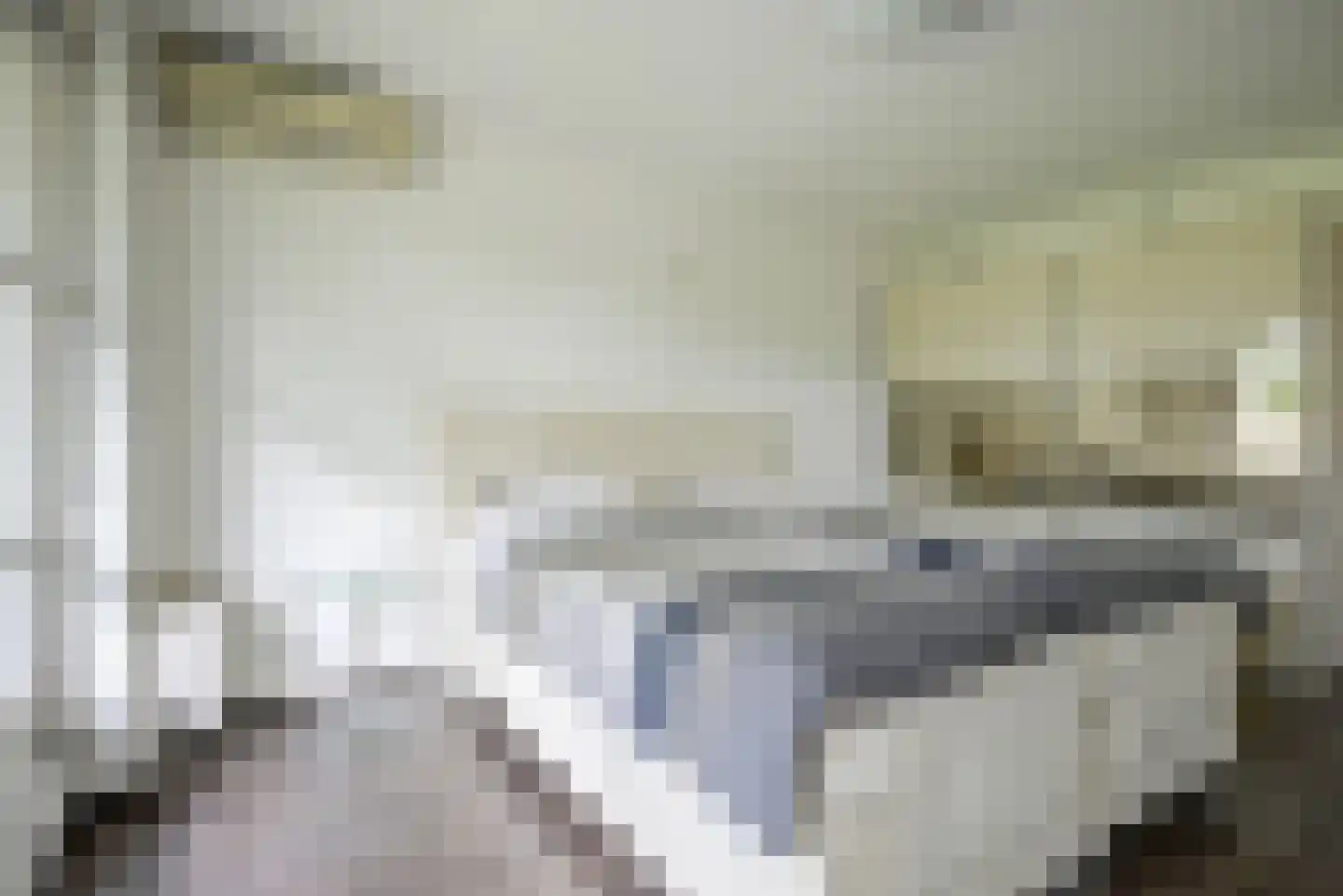 Koningsvaren 2 Bergschenhoek thumbnail 31