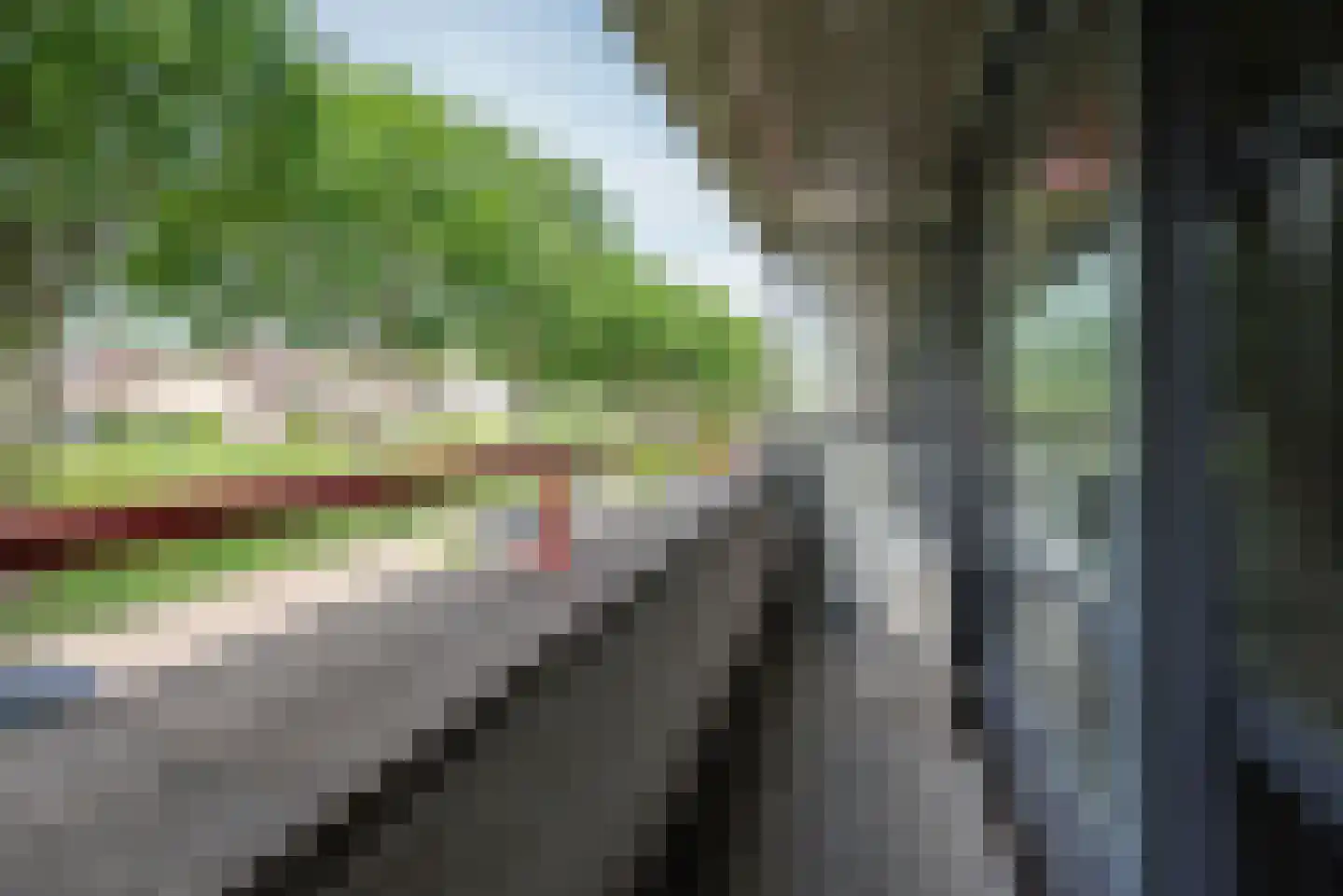 Koningsvaren 2 Bergschenhoek thumbnail 32