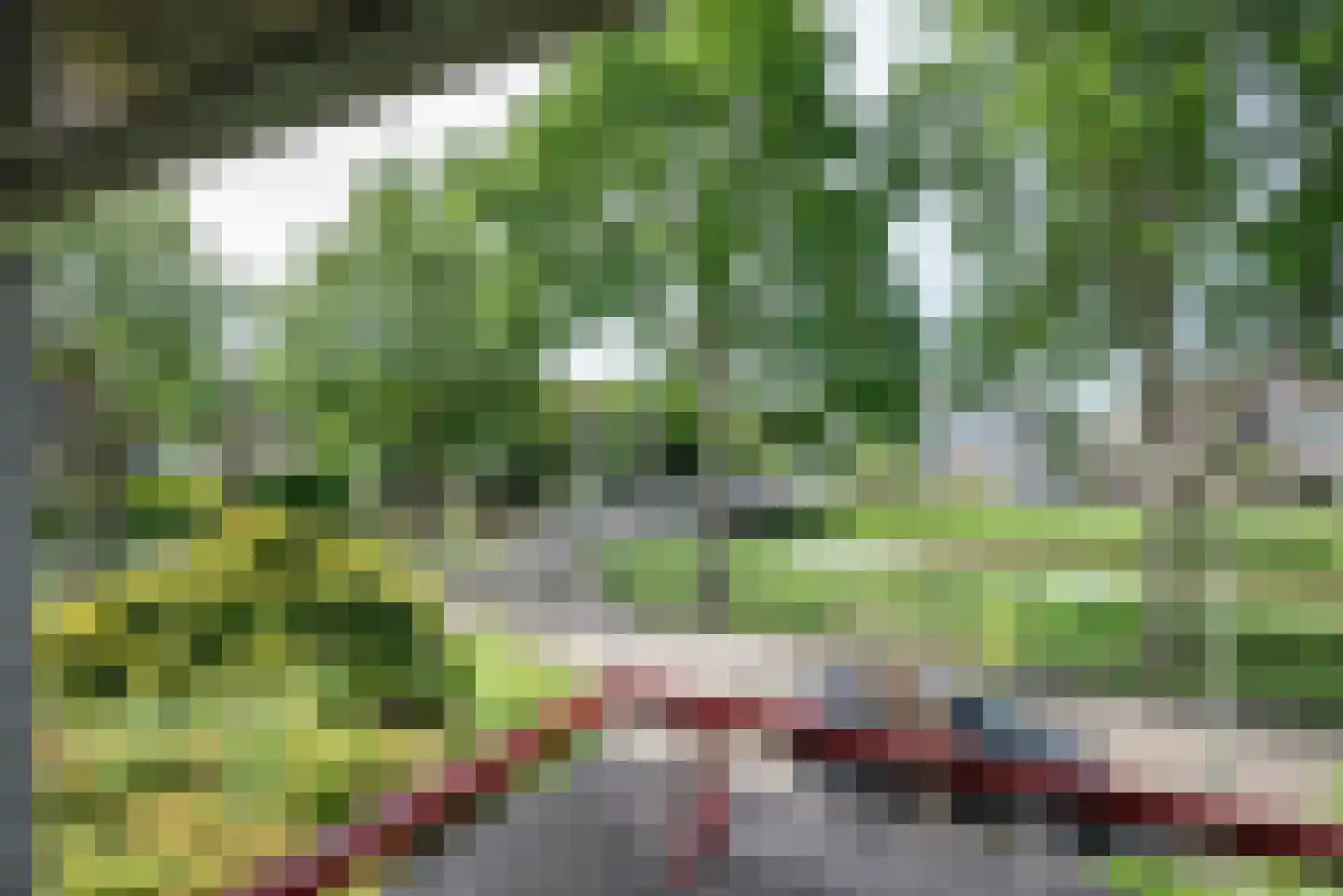 Koningsvaren 2 Bergschenhoek thumbnail 33
