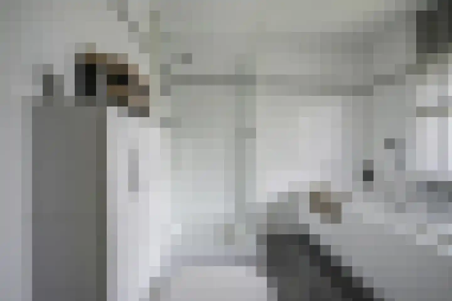 Koningsvaren 2 Bergschenhoek thumbnail 36