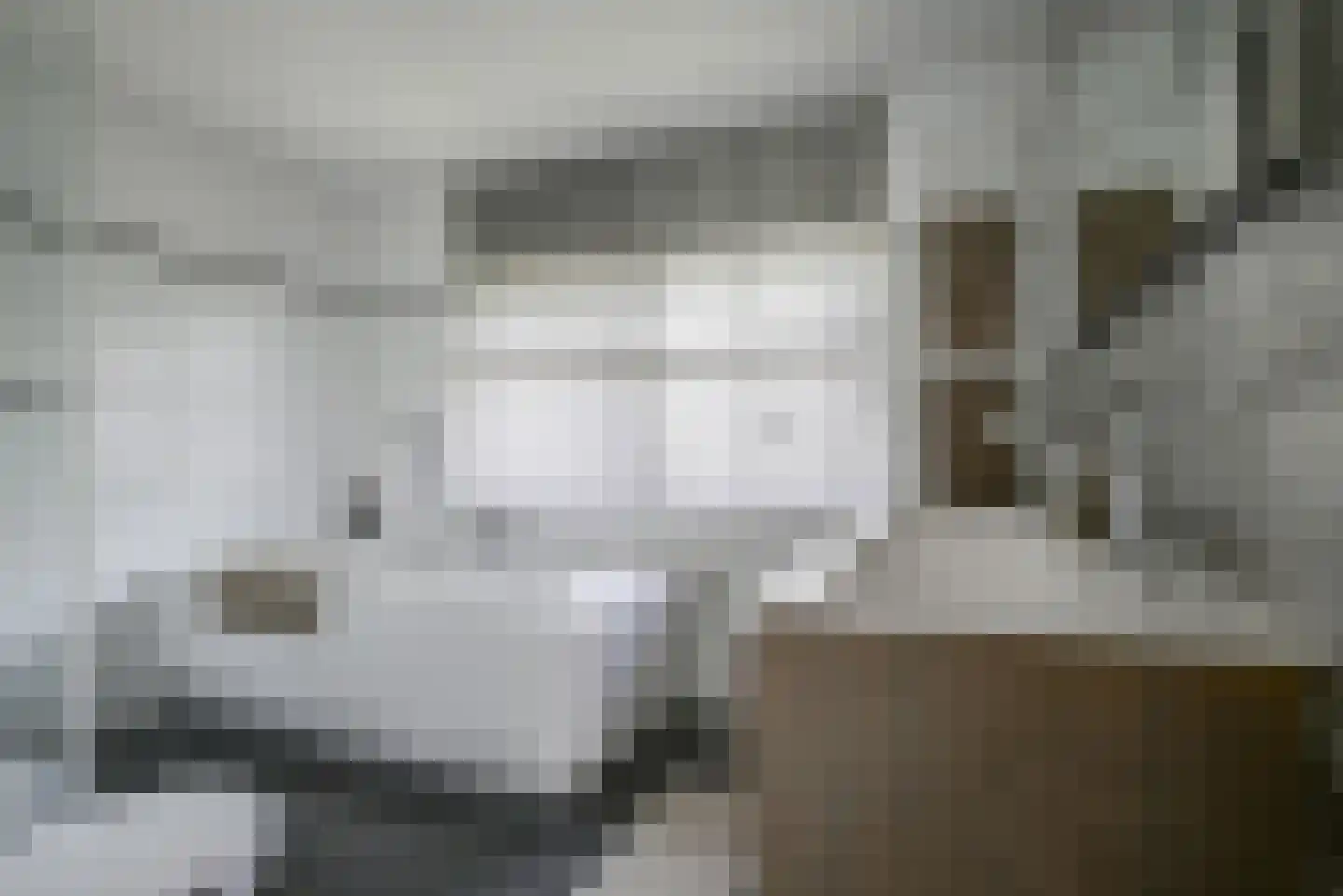 Koningsvaren 2 Bergschenhoek thumbnail 37
