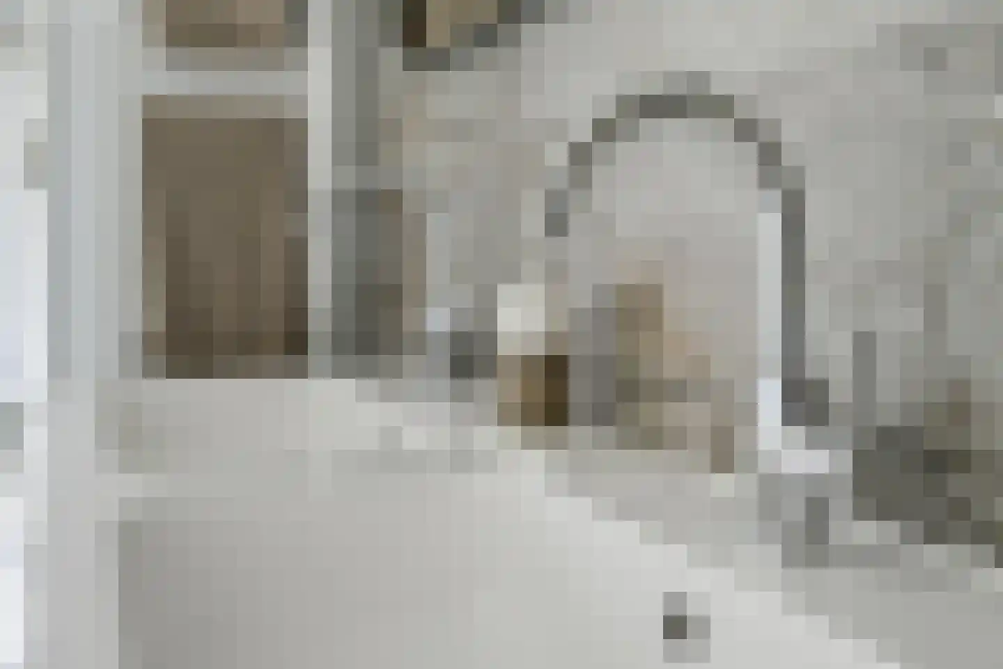 Koningsvaren 2 Bergschenhoek thumbnail 39