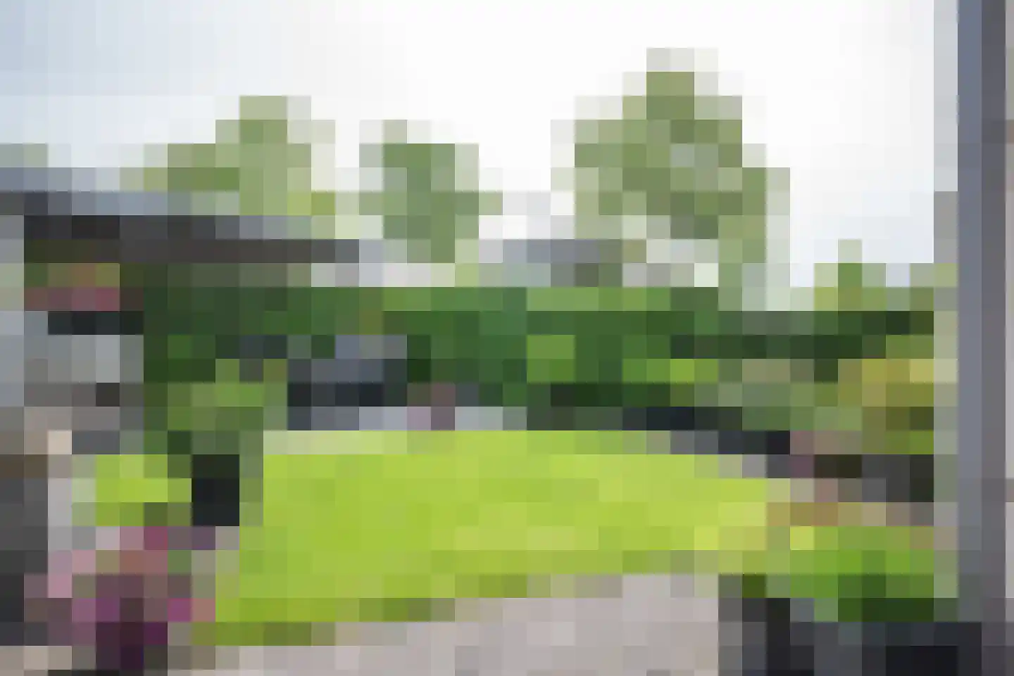 Koningsvaren 2 Bergschenhoek thumbnail 4