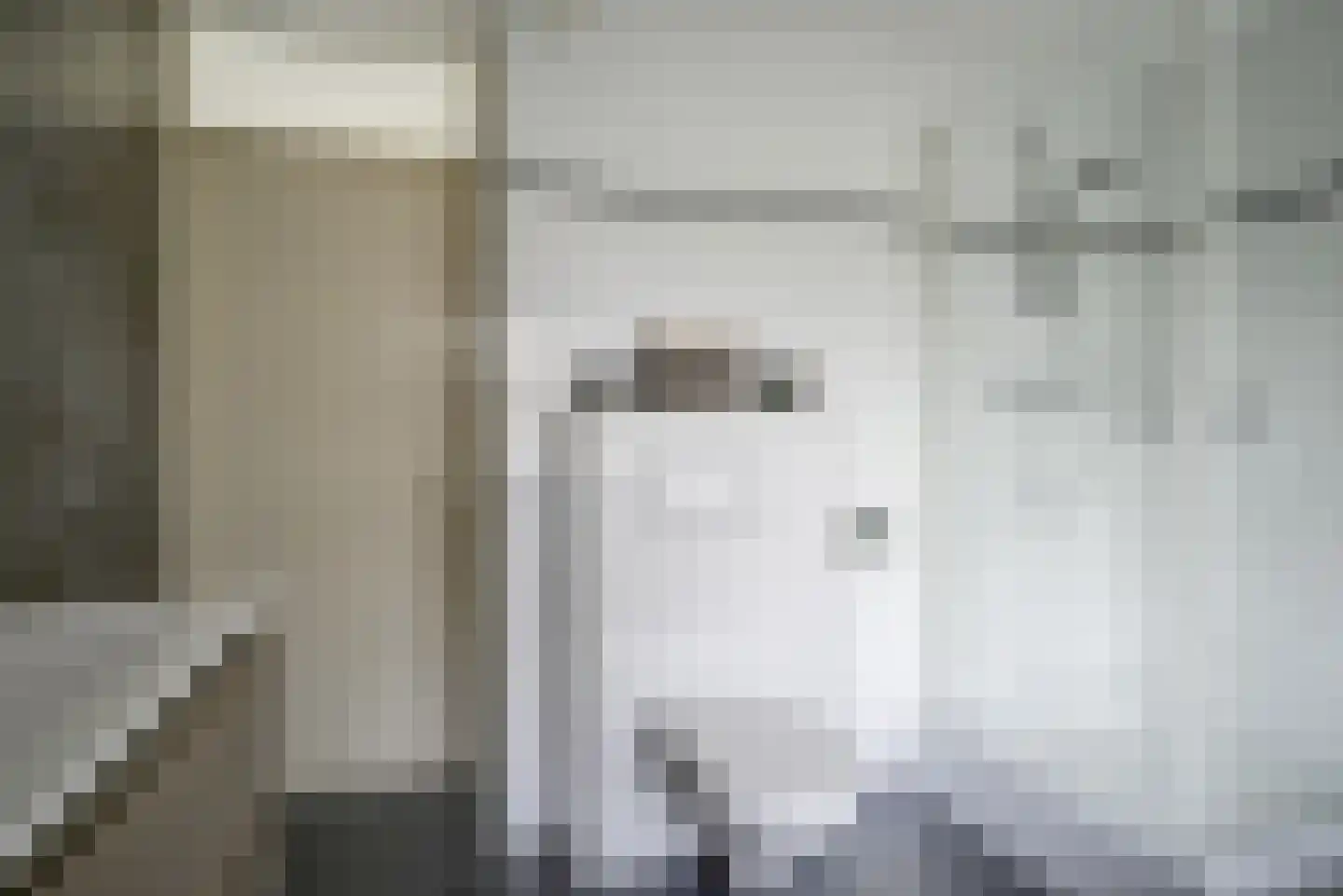 Koningsvaren 2 Bergschenhoek thumbnail 41