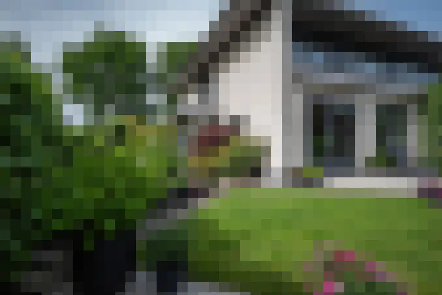 Koningsvaren 2 Bergschenhoek thumbnail 53