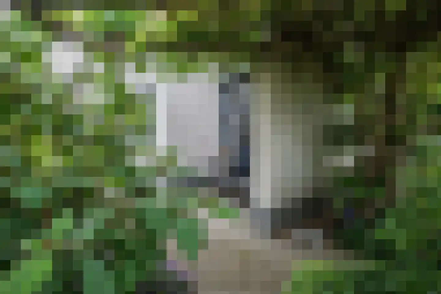 Koningsvaren 2 Bergschenhoek thumbnail 56