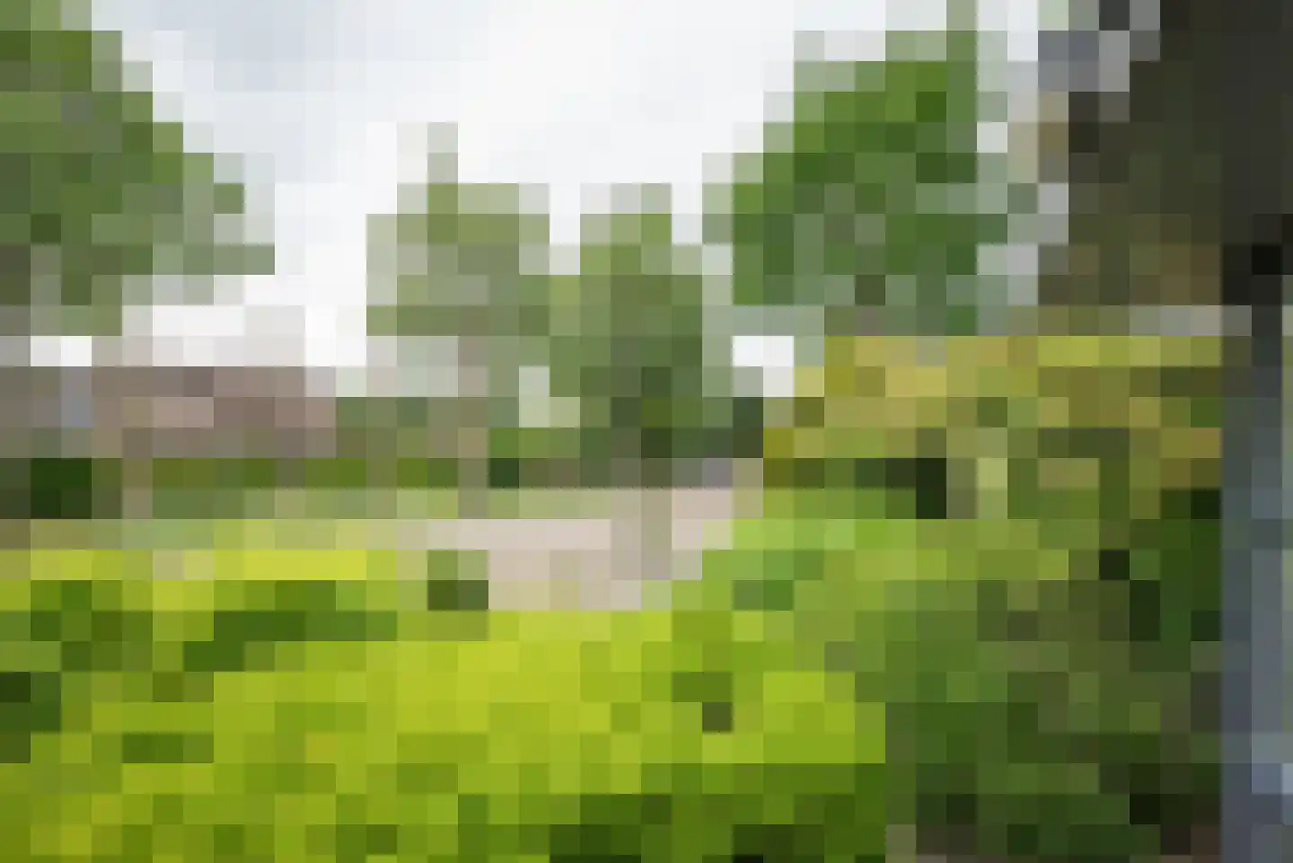 Koningsvaren 2 Bergschenhoek thumbnail 57