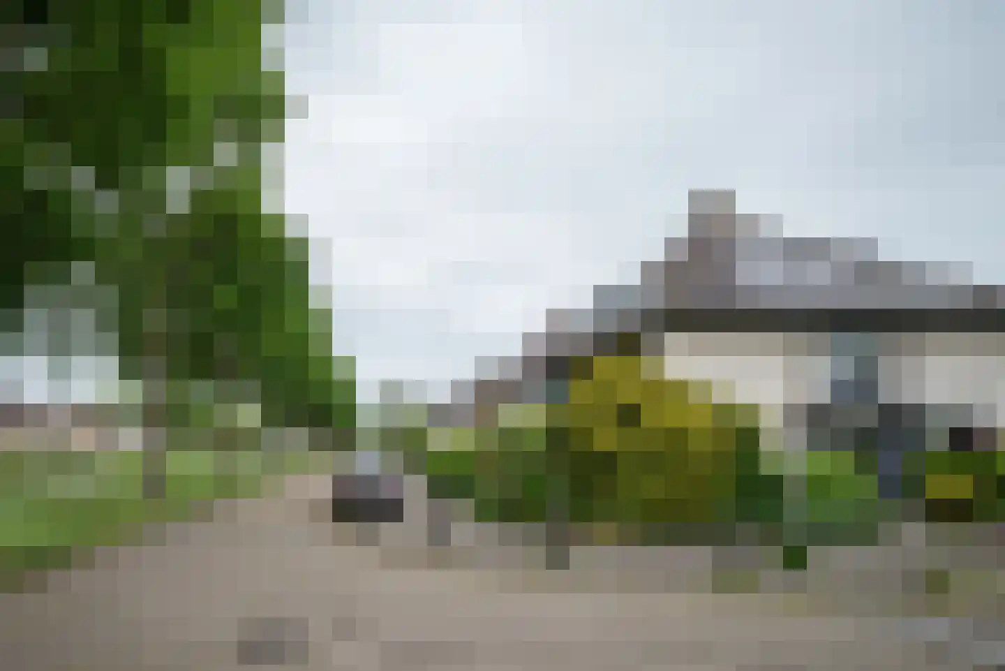 Koningsvaren 2 Bergschenhoek thumbnail 59