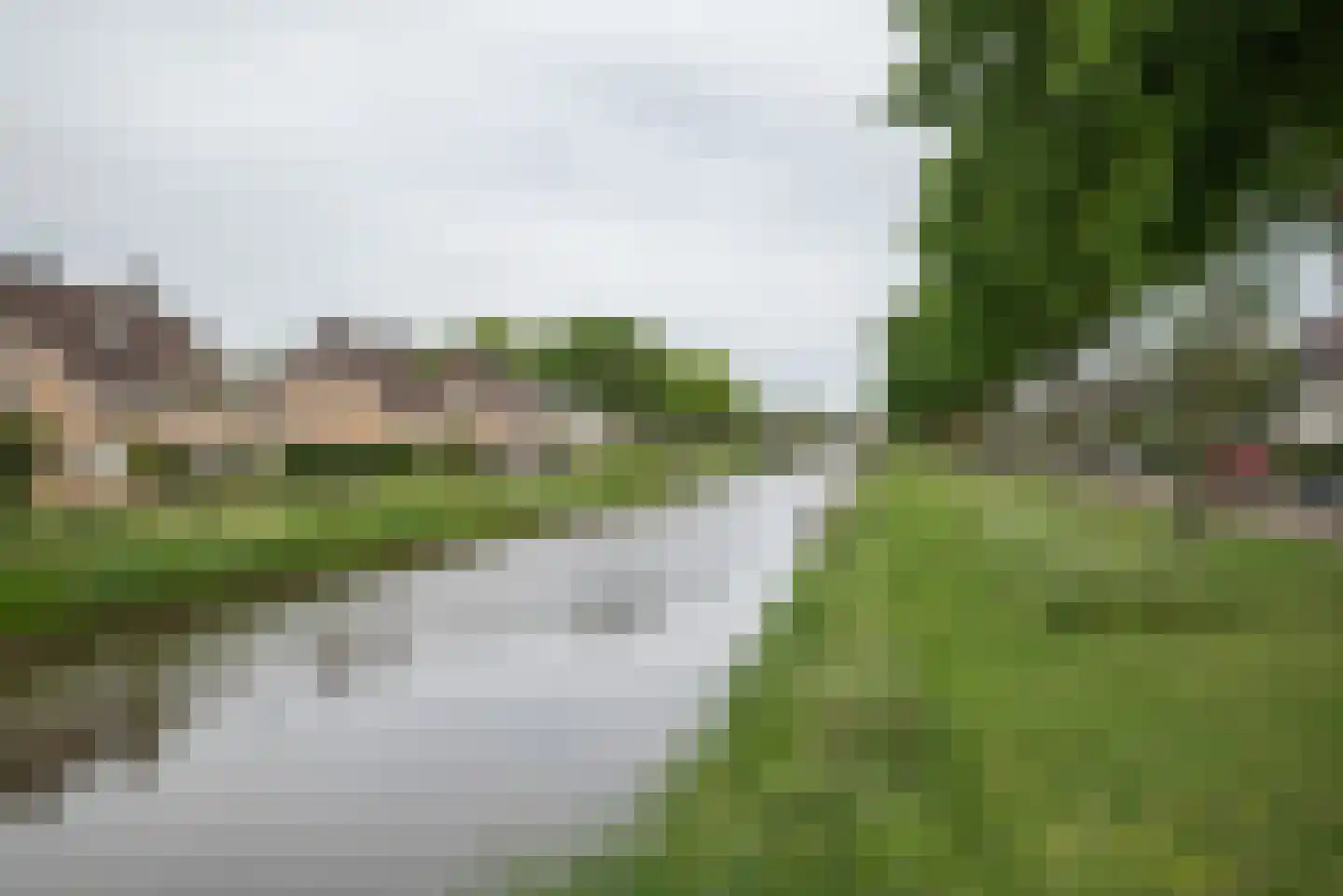 Koningsvaren 2 Bergschenhoek thumbnail 60