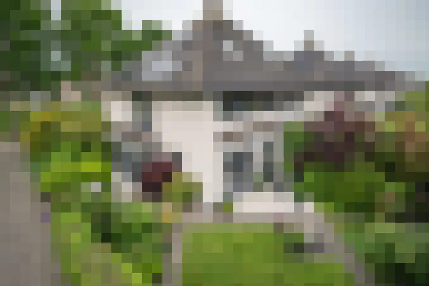 Koningsvaren 2 Bergschenhoek thumbnail 8