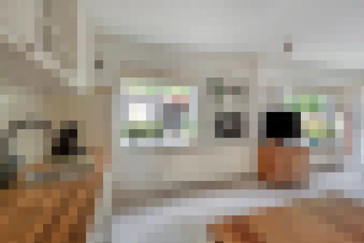Koningsvaren 26 Purmerend thumbnail 13