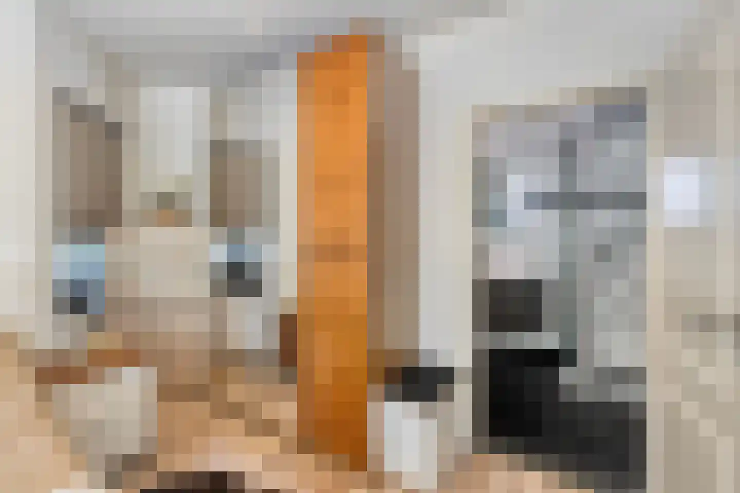 Koningsvaren 26 Purmerend thumbnail 19