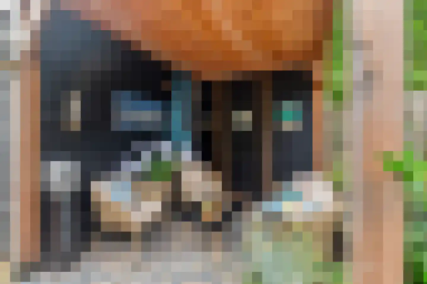 Koningsvaren 26 Purmerend thumbnail 28