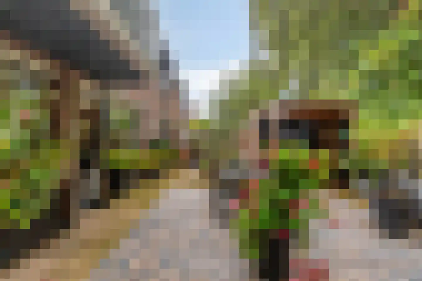 Koningsvaren 26 Purmerend thumbnail 33
