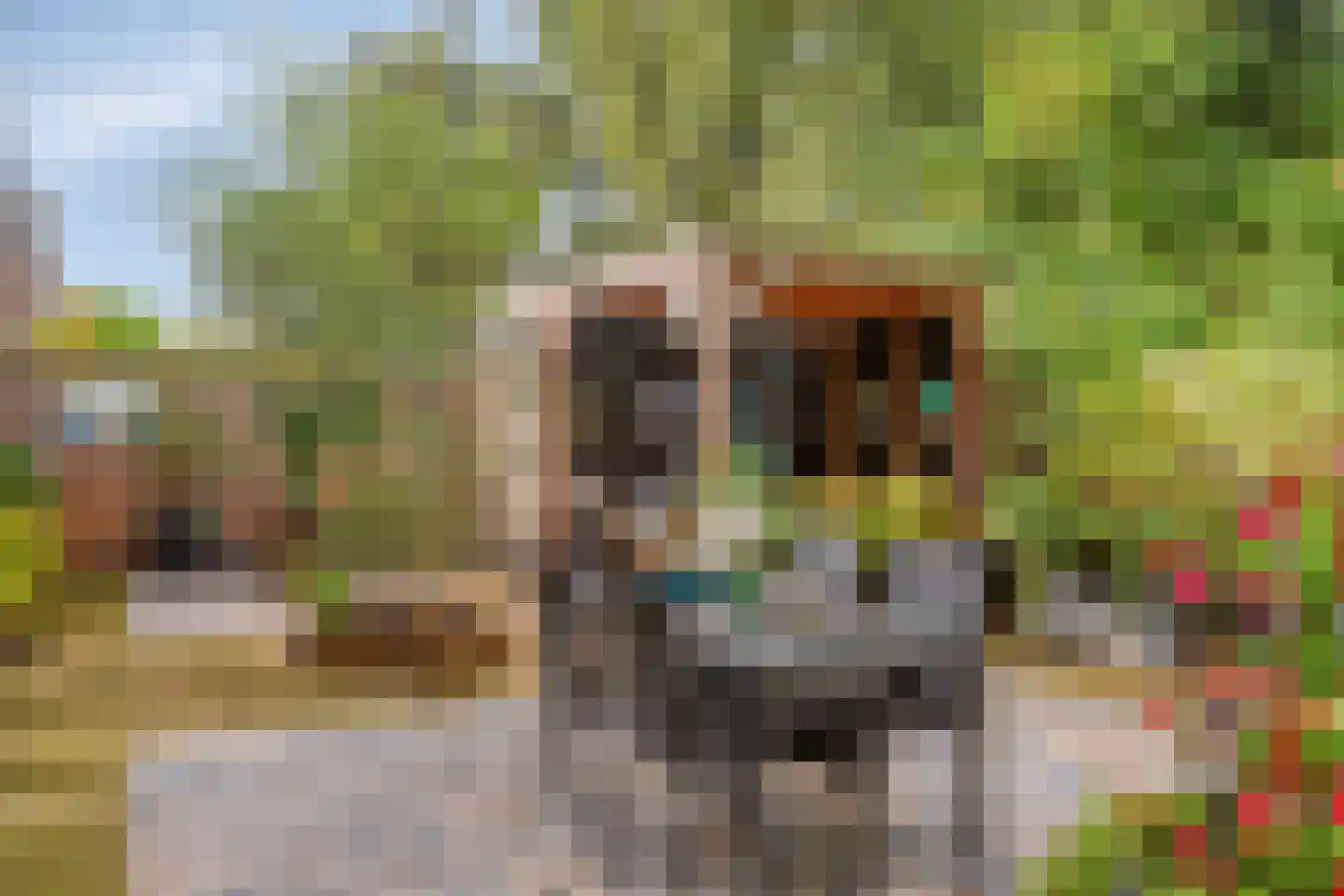 Koningsvaren 26 Purmerend thumbnail 34