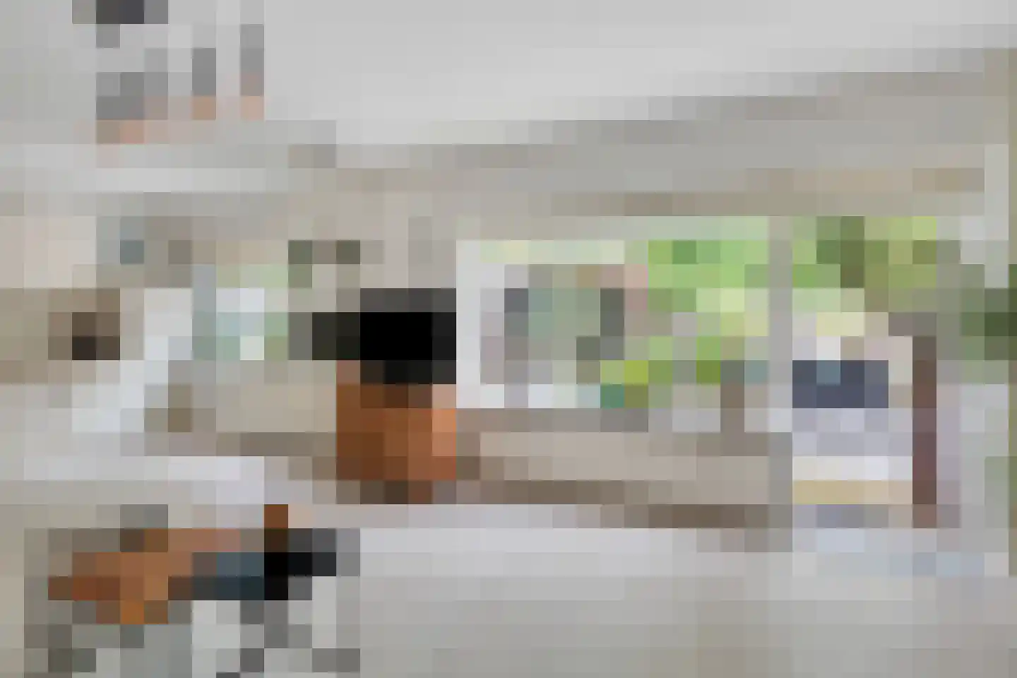 Koningsvaren 26 Purmerend thumbnail 4