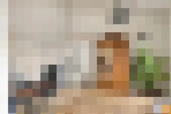 Koningsvaren 28 Purmerend thumbnail 12