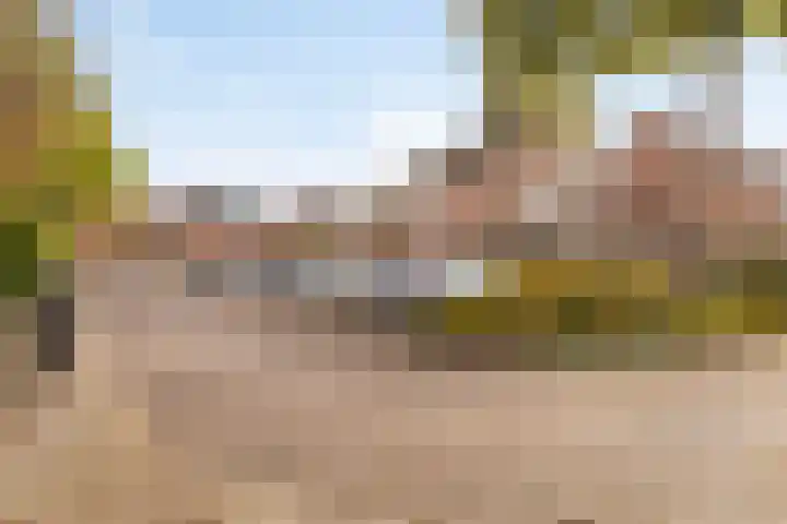 Koningsvaren 28 Purmerend thumbnail 19