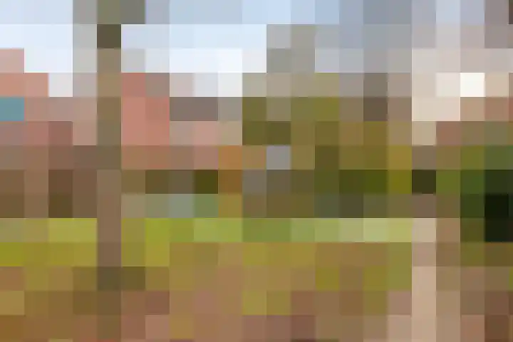 Koningsvaren 28 Purmerend thumbnail 21