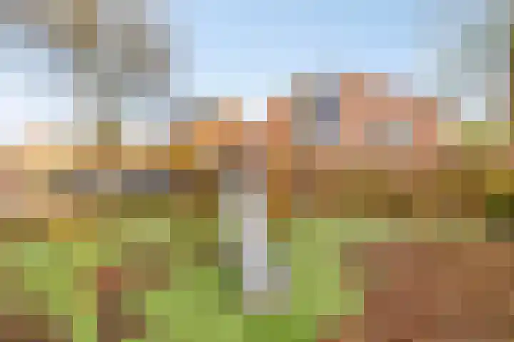 Koningsvaren 28 Purmerend thumbnail 23