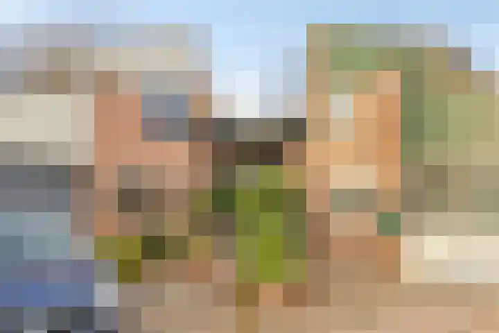 Koningsvaren 28 Purmerend thumbnail 25