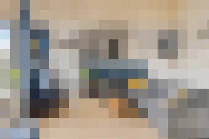 Koningsvaren 28 Purmerend thumbnail 4